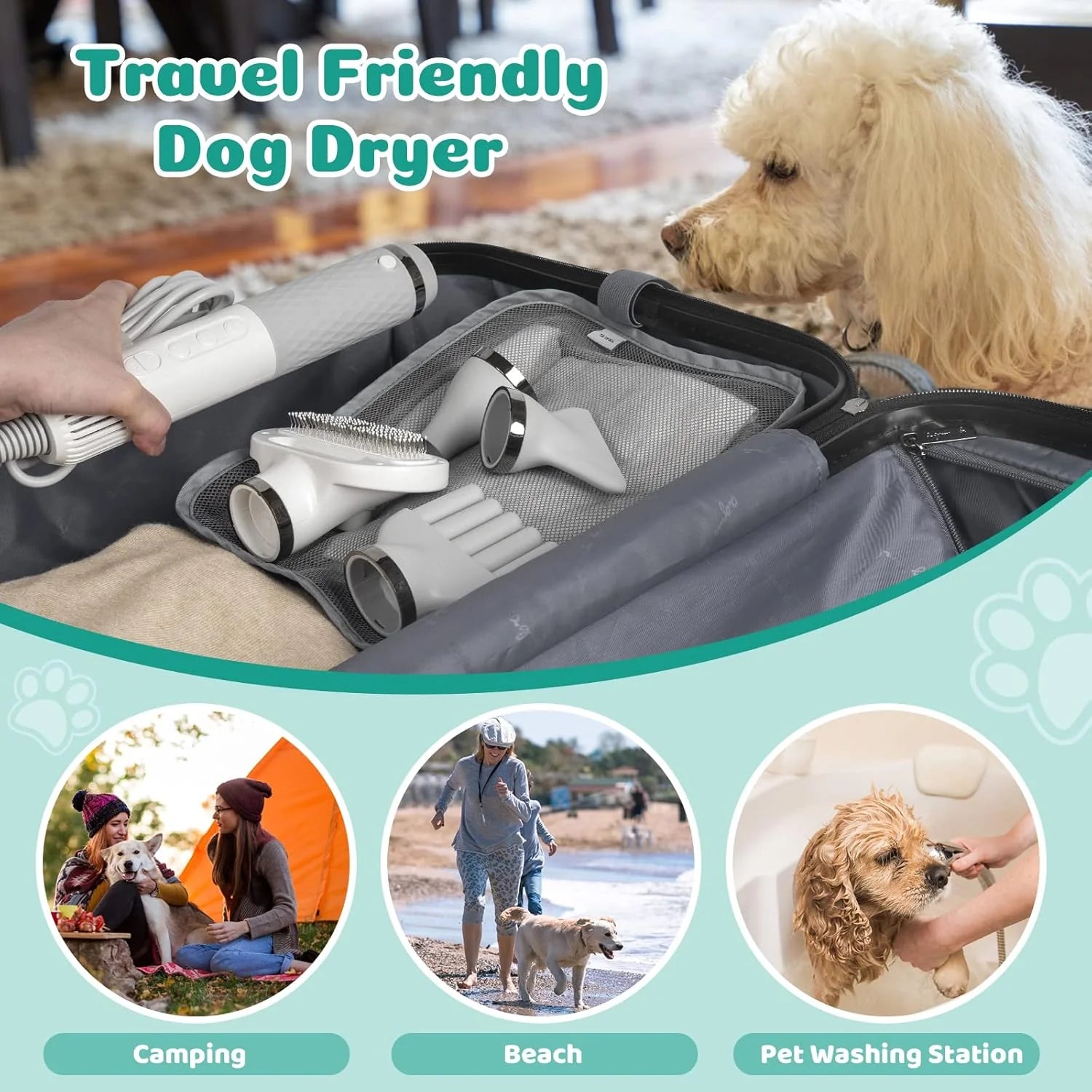 L&W BROS 5 in 1 Pet Hair Dryer High-powered